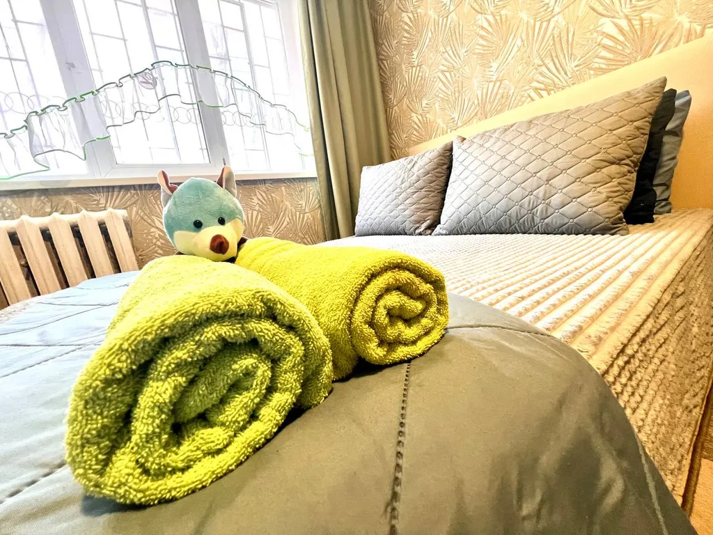 Мини - студия  эконом в центре  города