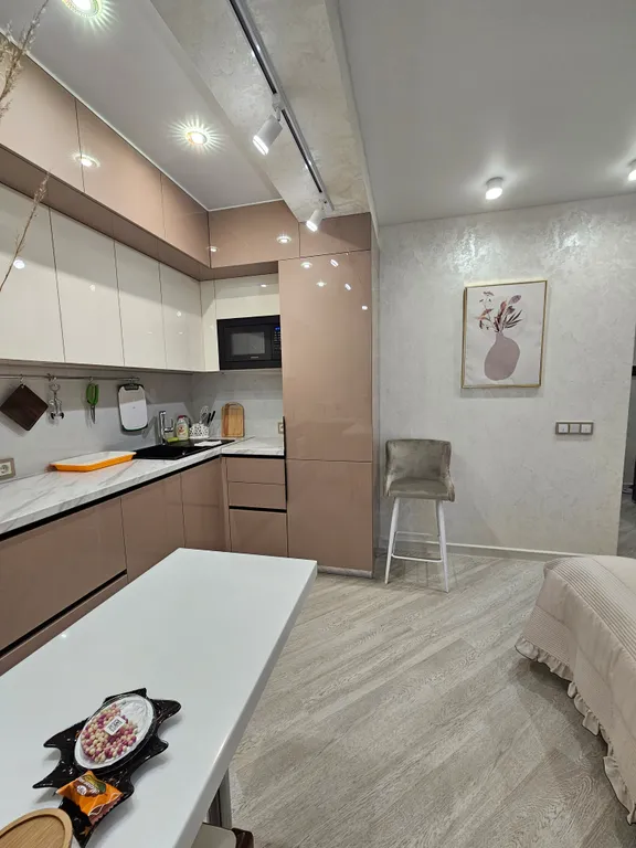 Студия с видом на рождественский собор