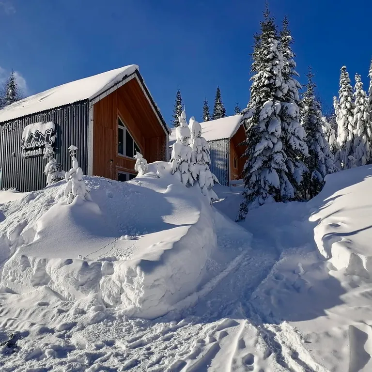 Коттедж Уютный дом Valenki в сердце леса — аренда посуточно в Шерегеш