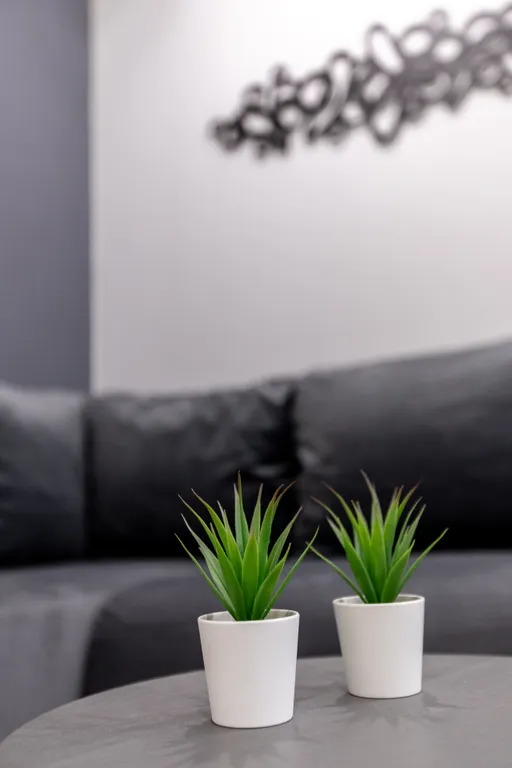 Большая комфортная квартира в центре города