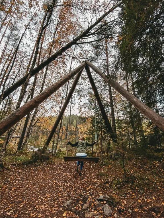 Коттедж комфорт класса с видом на лес