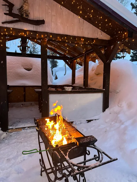 Гостевой двор Дом в кедрах