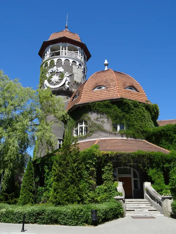 Фиола на холме