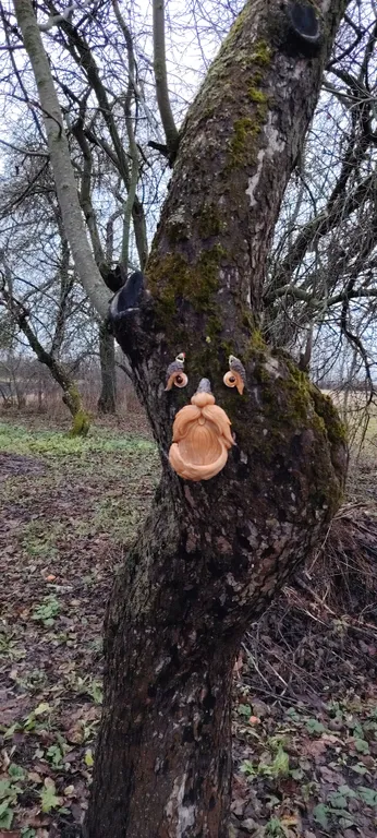 Усадьба Русанов водопад