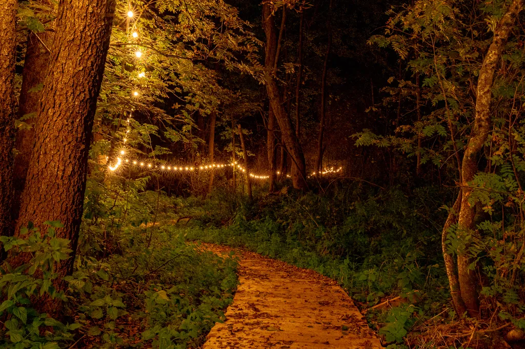 Дом Барнхаус