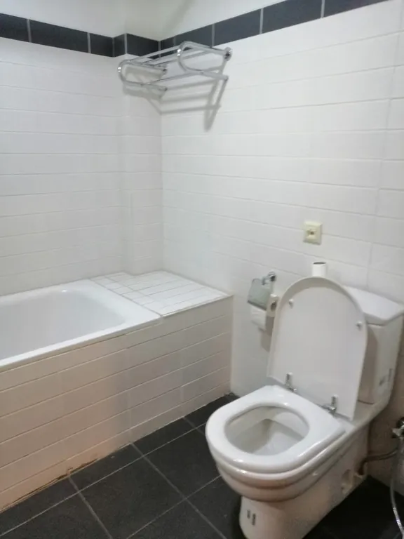 Квартира в бизнес-центре у проспекта Руставели