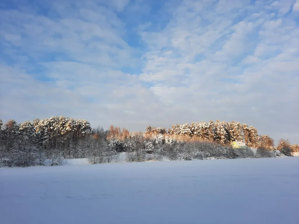 Уединенный комфортный дом-баня в сосновом бору