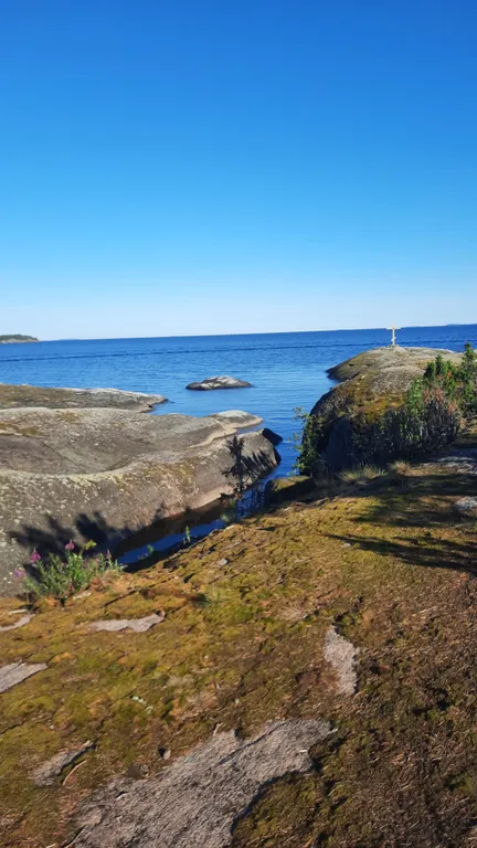 Уютный лесной домик