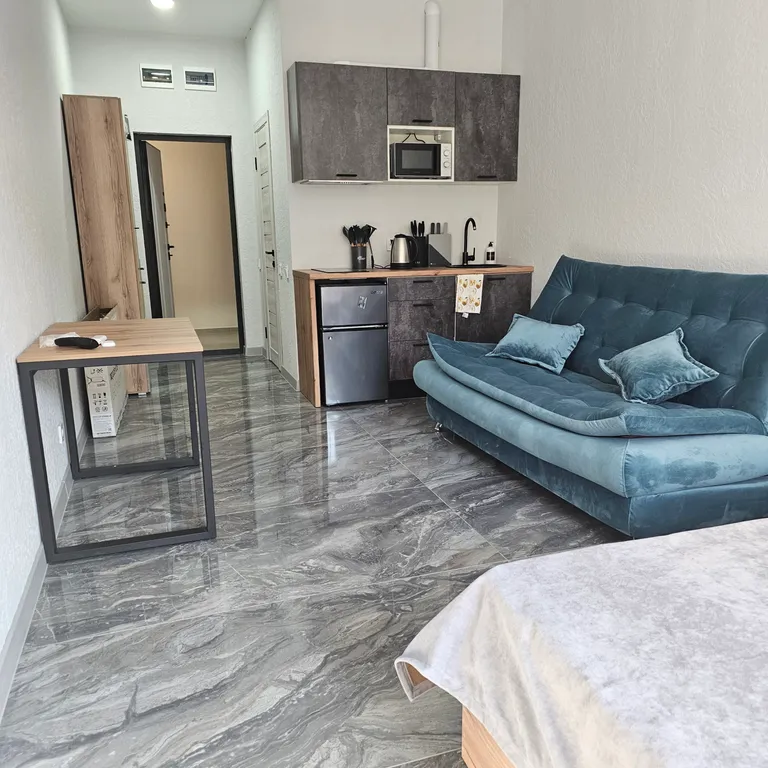 Апартаменты-студия c кухней 43