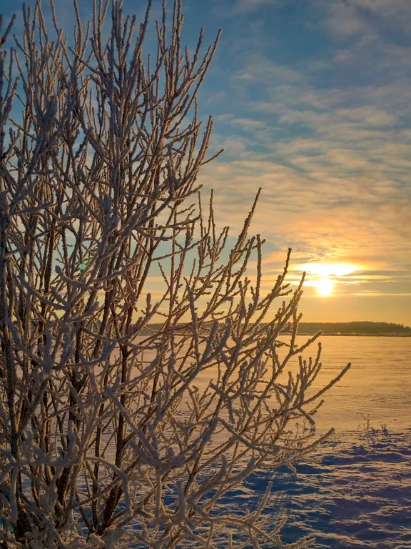 Коттедж Уютный дом у озера — Волосово
