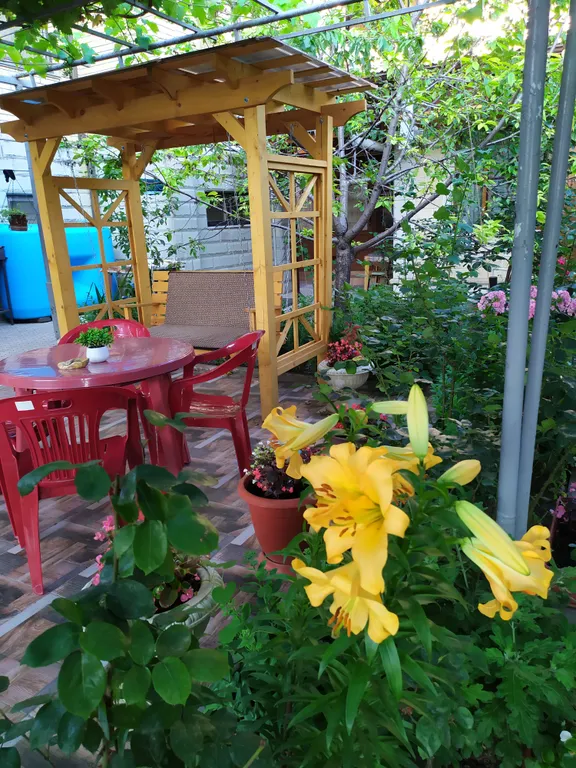 Коттедж Дом утопающий в зелени и очень уютный — Геленджик