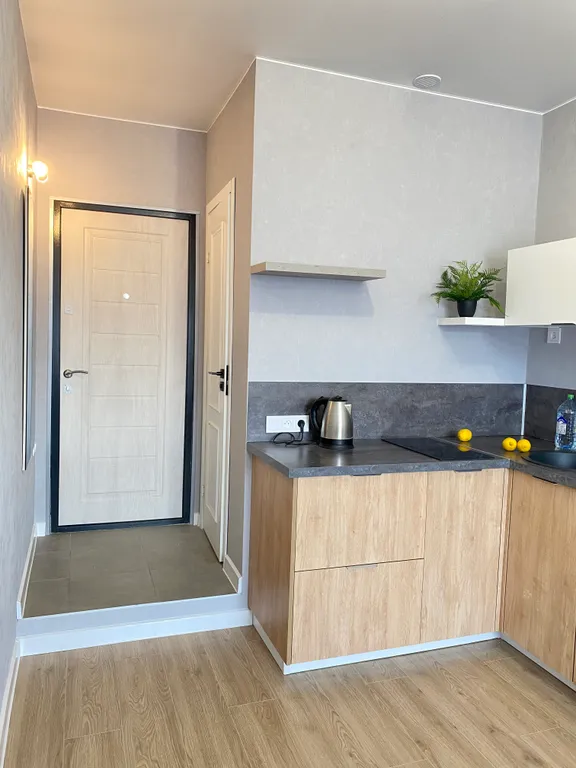 Квартира Квартира Стильная светлая студия — Москва