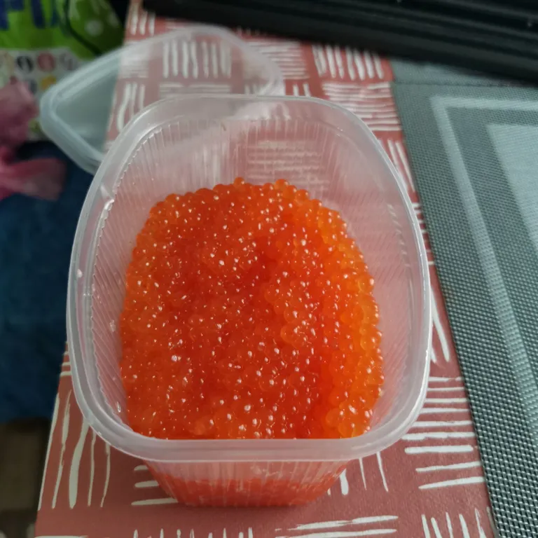 Отдых на Белом море