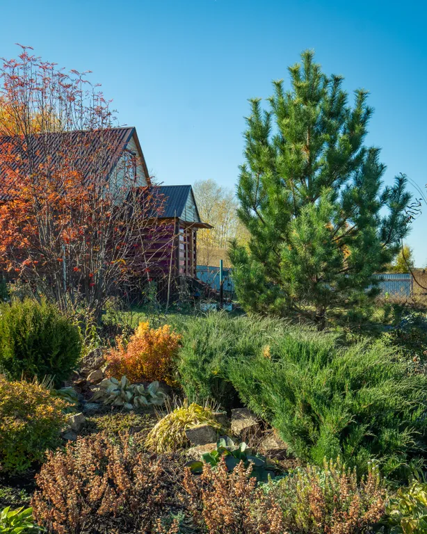 Дом у родника