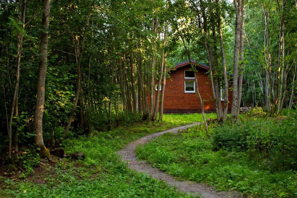 Коттедж 3-комнатный Дом — Приладожское