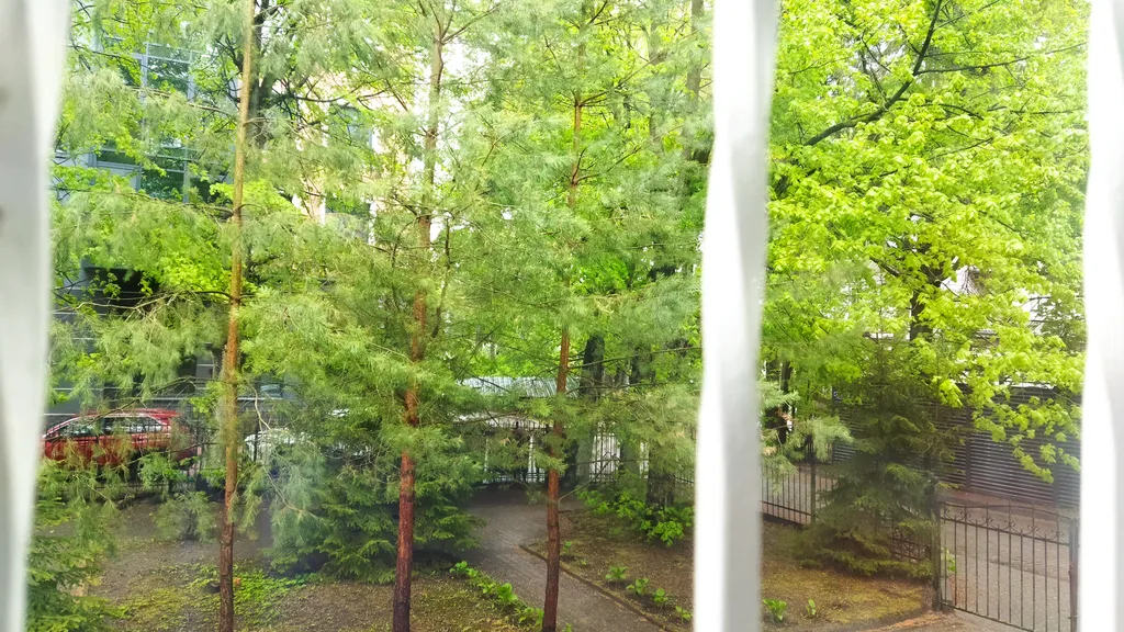 Квартира Просторная квартира в историческом центре — Светлогорск