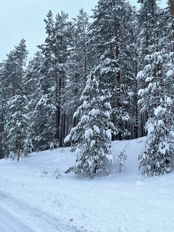 Twin house на берегу озера