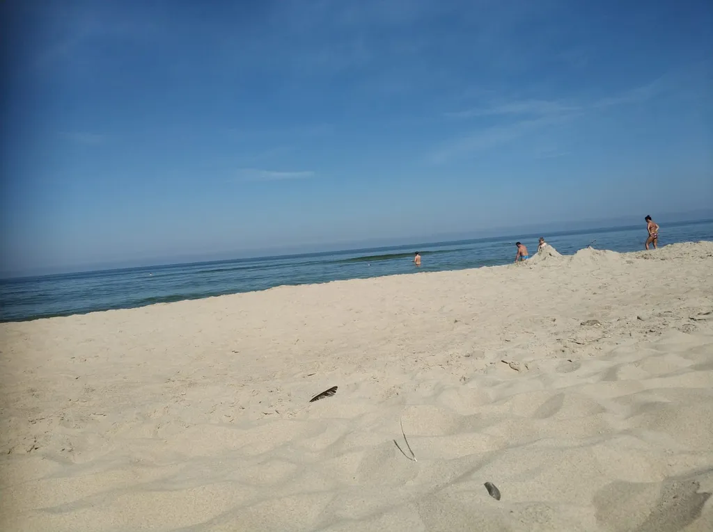 Усадьба Риттербург с баней беседкой и мангальной зоной у моря