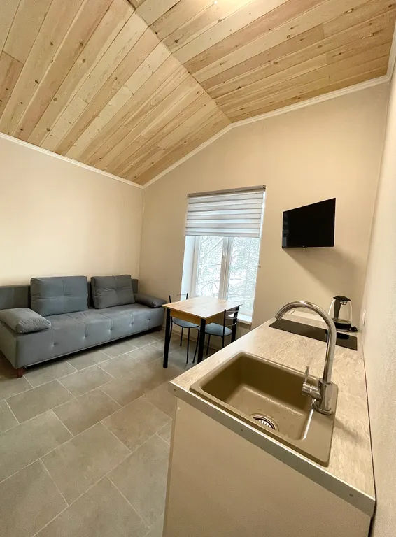 Апартамент однокомнатный на троих