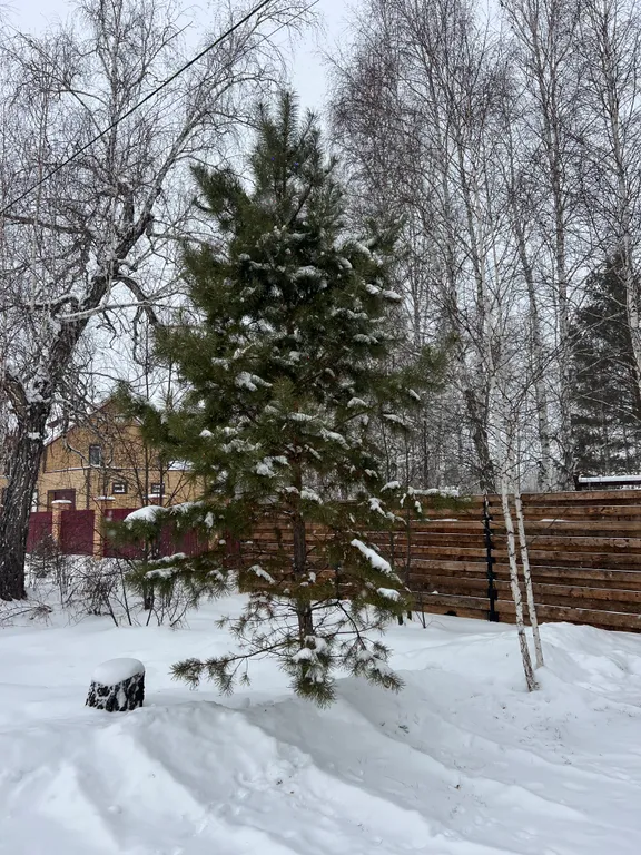 Дом с баней в липах