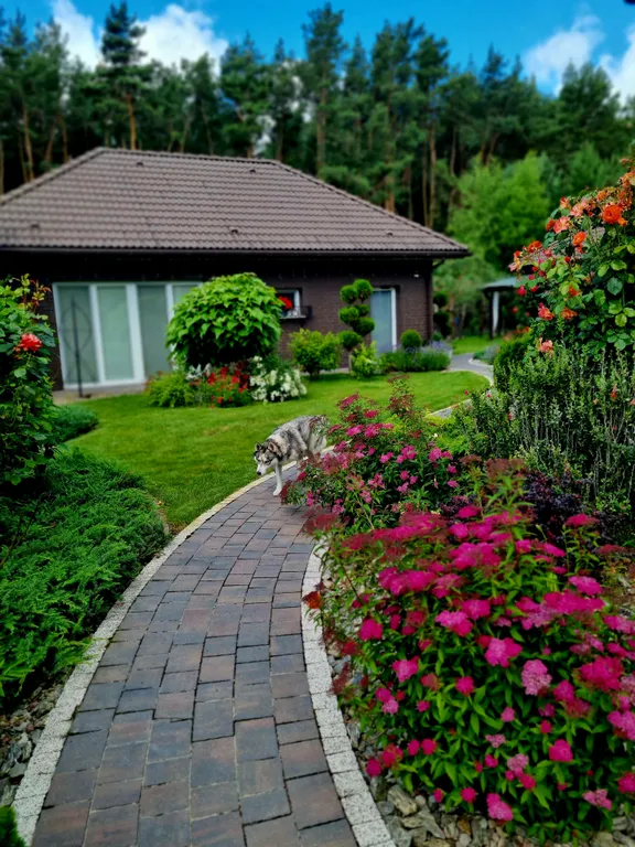 Brest dream garden. Атмосферный гестхаус с шикарным видом на лес