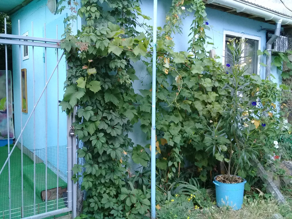 Летний домик