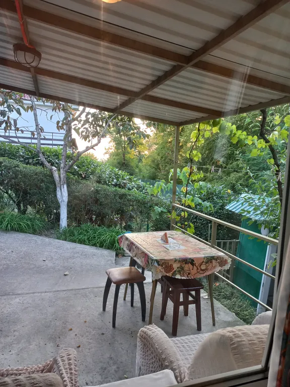 Буревестник