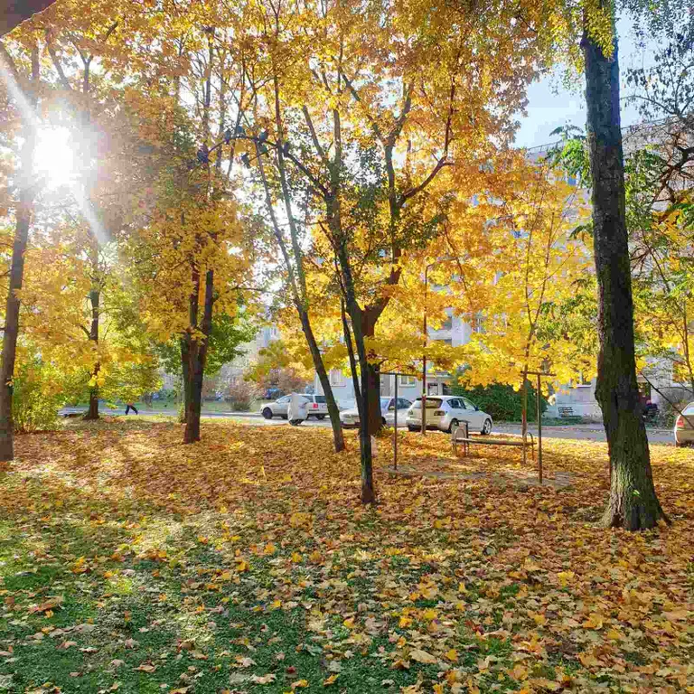 Уютная квартира и идеальный порядок