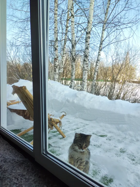 Коттедж Чудо-дача, дом Капитан на берегу пруда — аренда посуточно в Домодедово