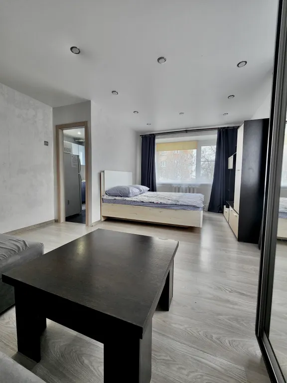 Однокомнатная квартира в центре города