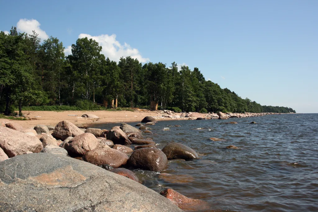 Апартамент у центрального пляжа и парка Дубки