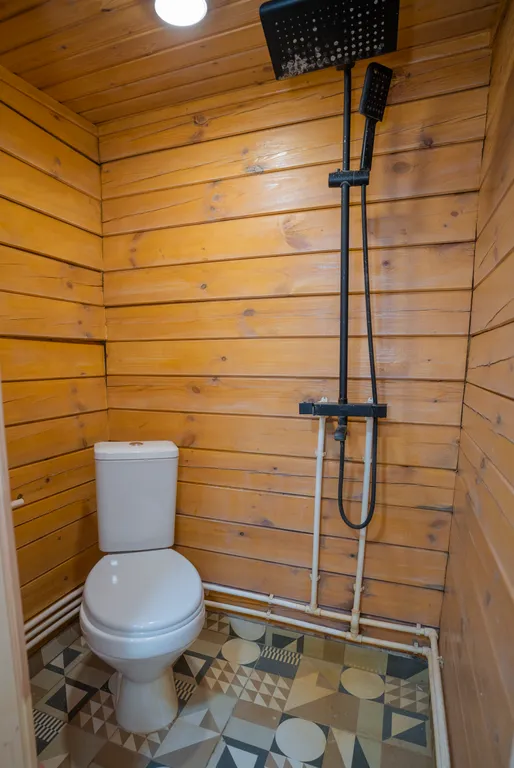 Сфера в сосновом лесу