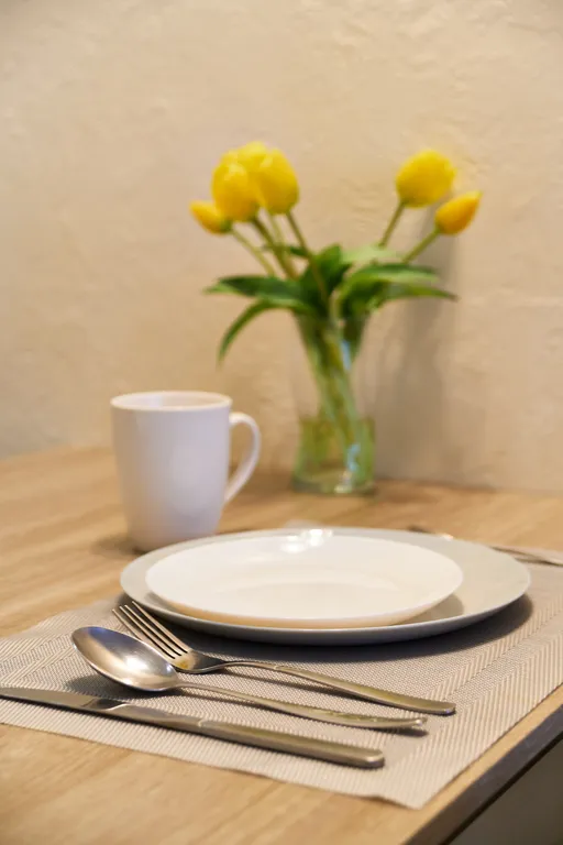 Лайтарис (апартамент №4)