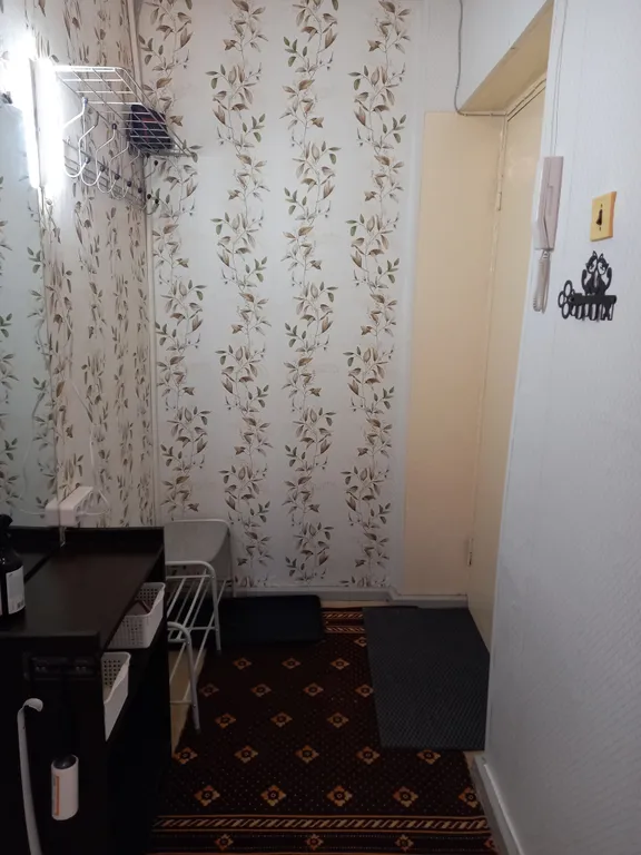 Рыбки-котики