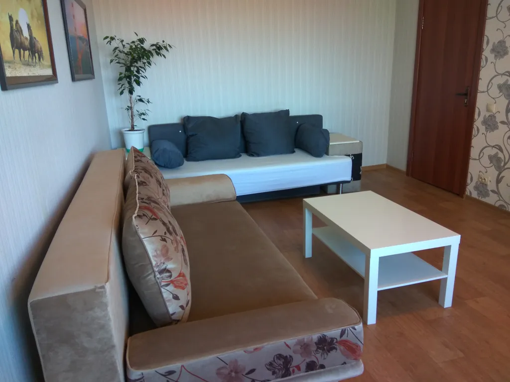 Просторная квартира рядом с Дворцом Единоборств и Аэропарком