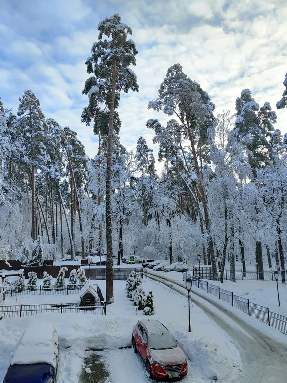 Квартира в ЖК Greenpark с отличным видом на сосновый лес и реку