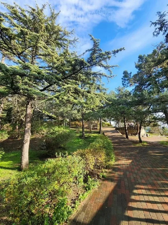 Уютная студия с прекрасным видом на море