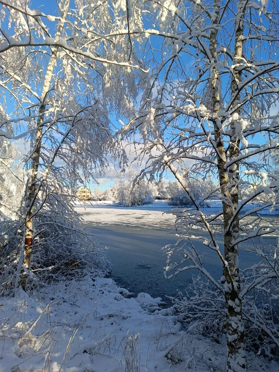 Коттедж Загородный дом Затишье — Санкт-Петербург