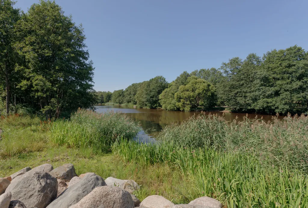 Апартаменты рядом с Финским заливом в Сестрорецке