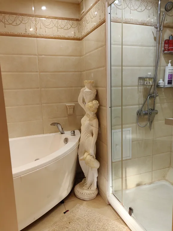 Большая квартире в центре города