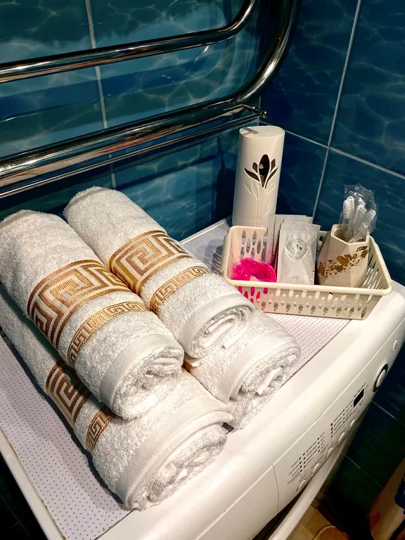 Квартира-люкс в самом центре города