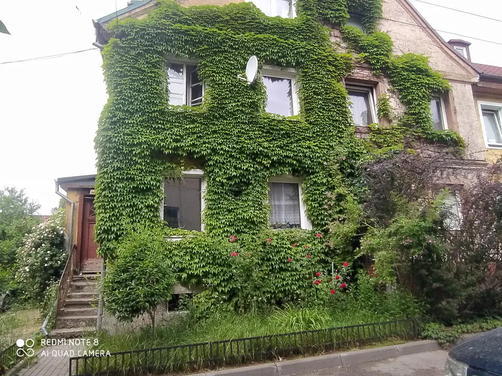 Прусский Кот  (в историческом районе Ratshof на границе с Amalienau)