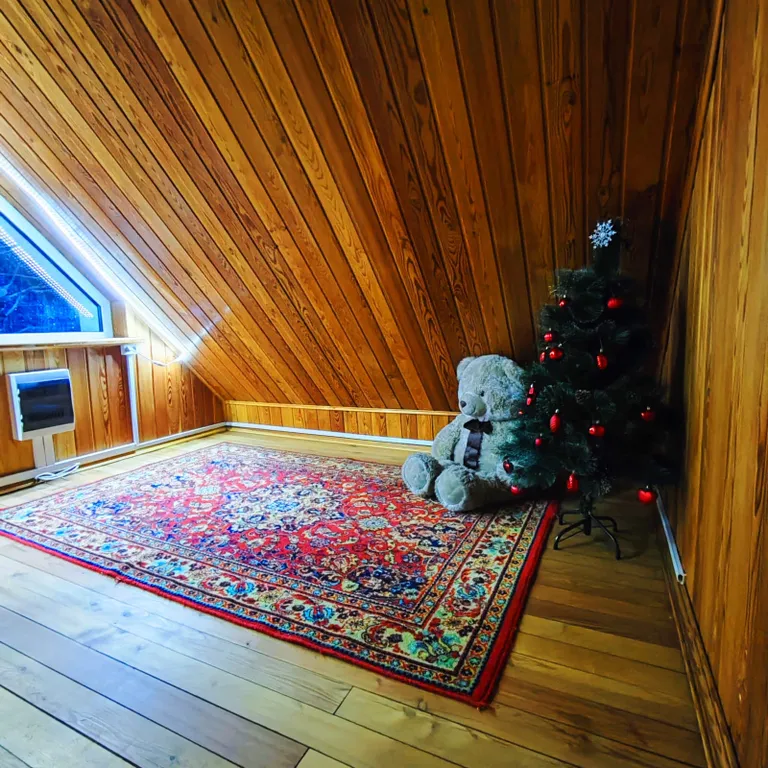 Коттедж Уютный гостевой дом — Светогорск