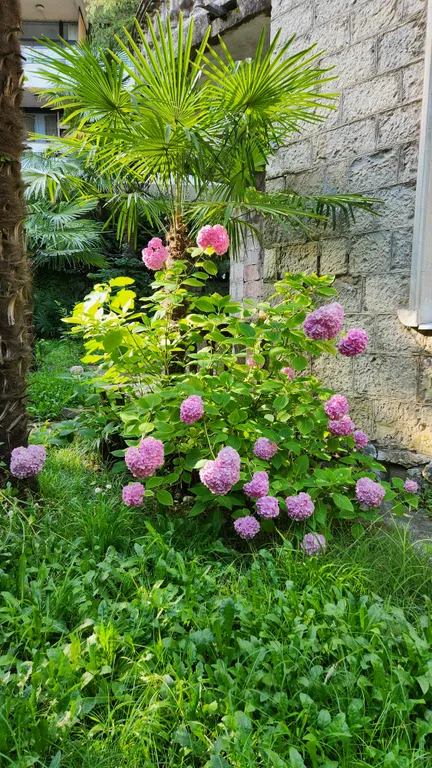 5-комнатная Квартира