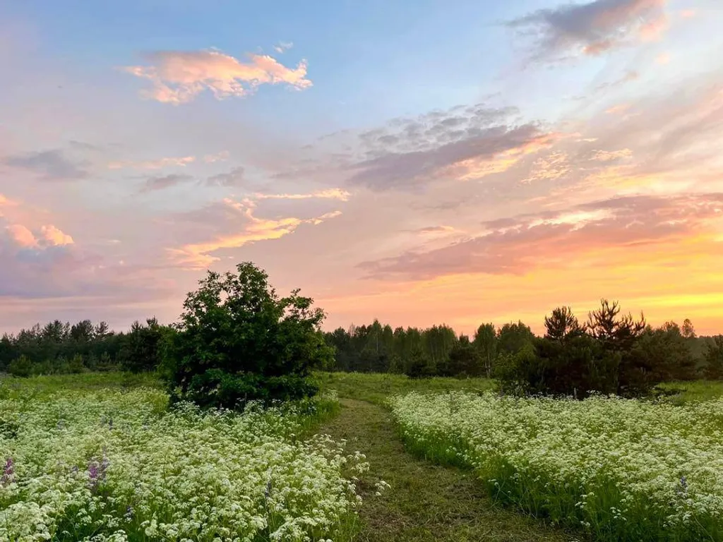 Уникальный арендный объект Кибитка на холме