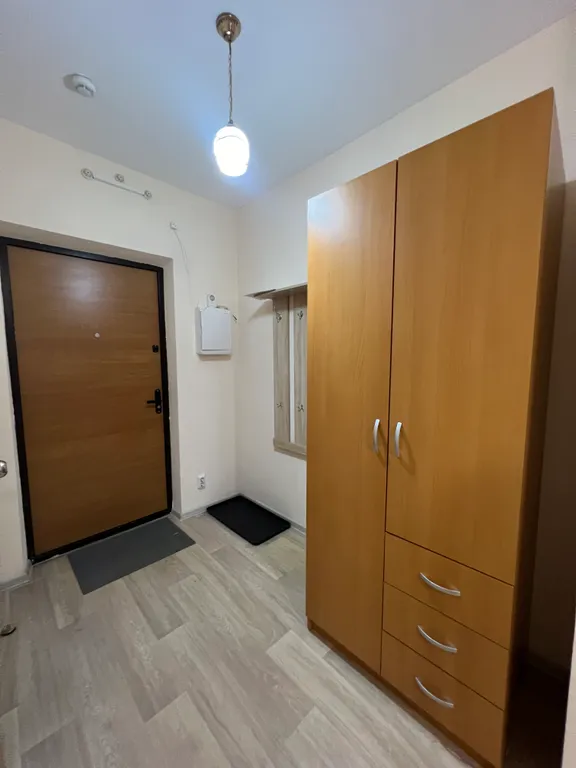 Студия с шикарным видом на лес