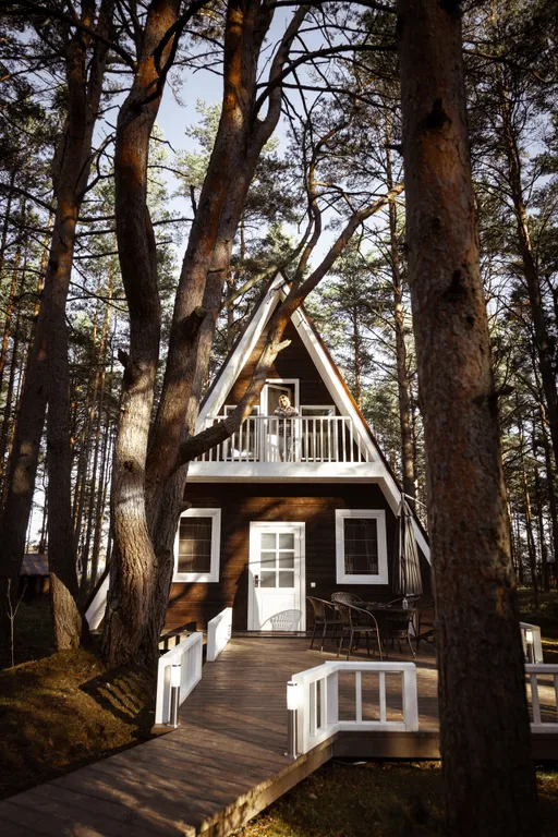 Коттедж Коттедж A-Frame — Запорожское