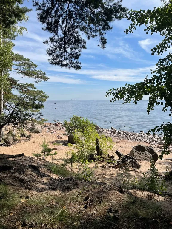 Домик в лесу