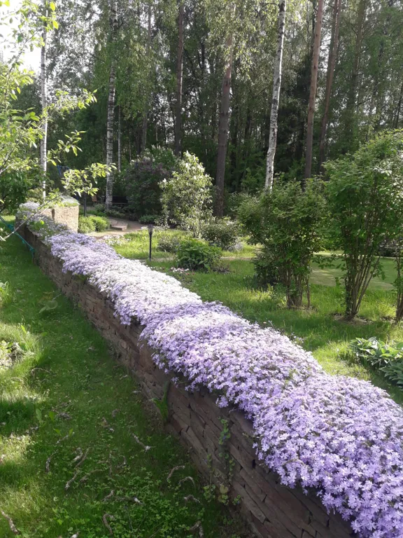 Загородный дом со своим садом