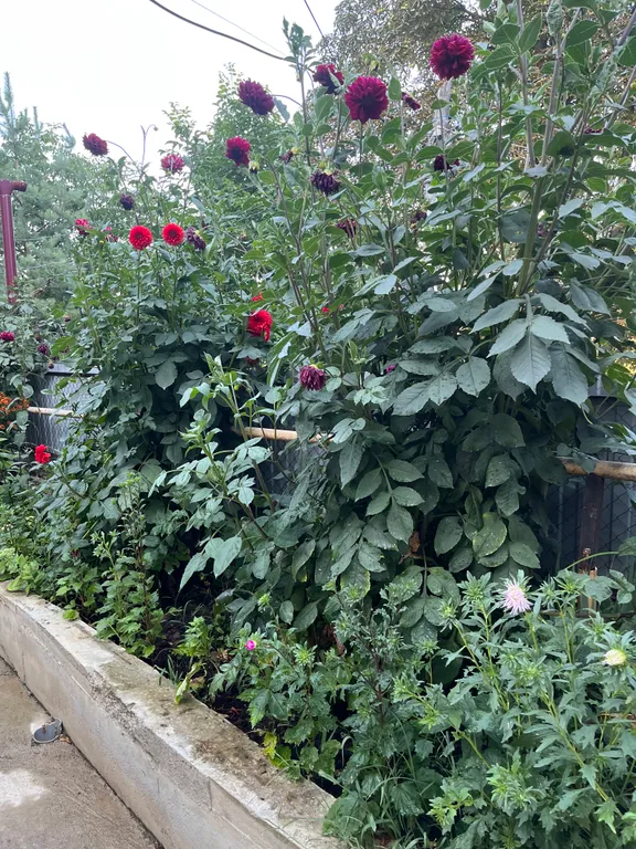 Коттедж Дом рядом с парком — Кисловодск